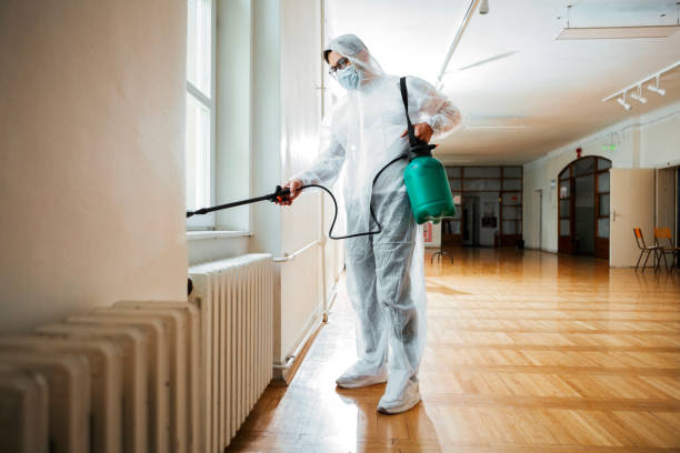 Best Pest Prevention Services  in Swift Trail Junction, AZ